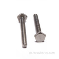 8.8 Grade Grade Gaspanized Customized Bolts